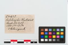 Etiketten zu Bleiperle (NHMW-PRAE-024975)